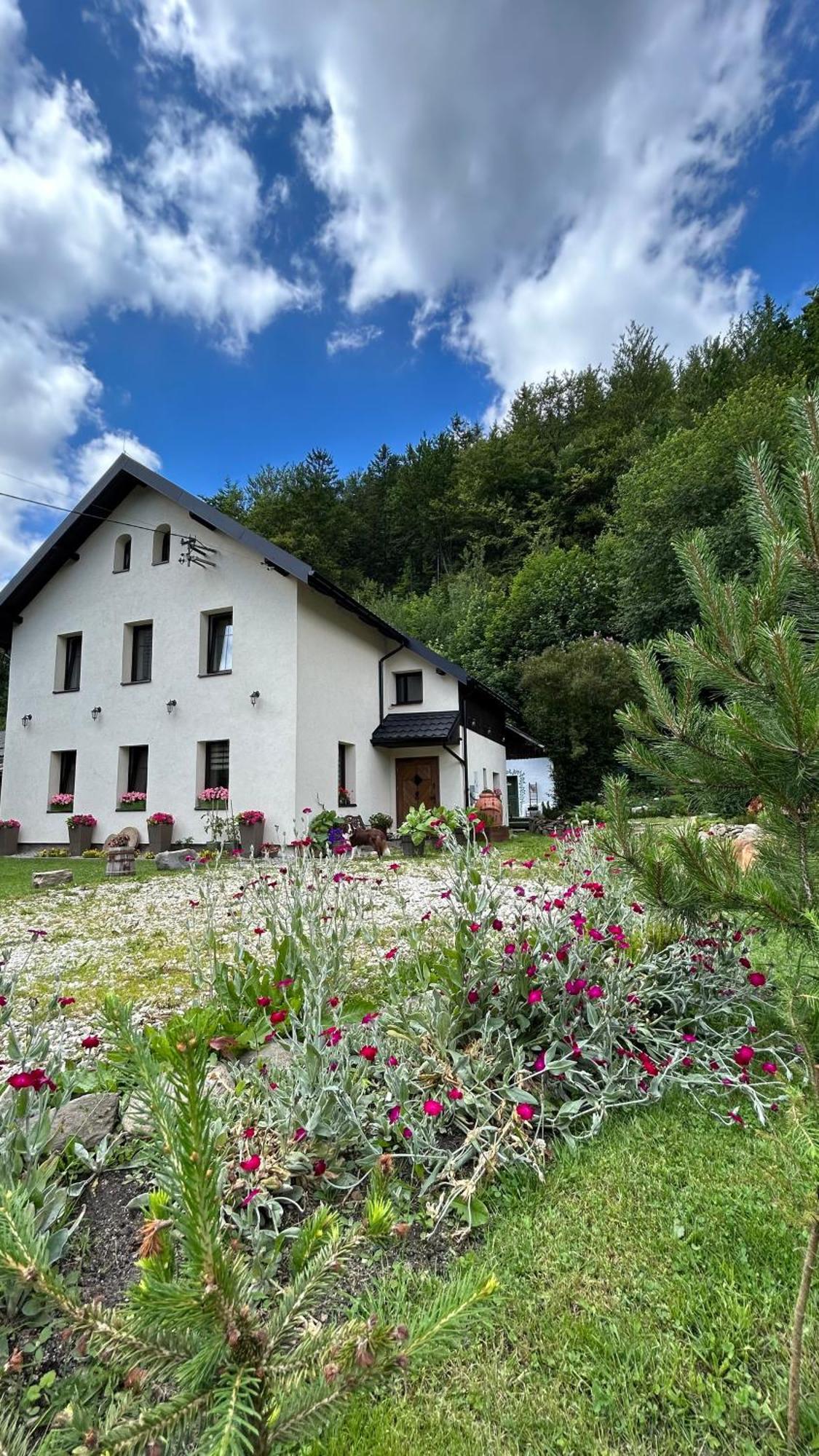 Apartamenty Goszowianka Stronie Śląskie Exterior foto